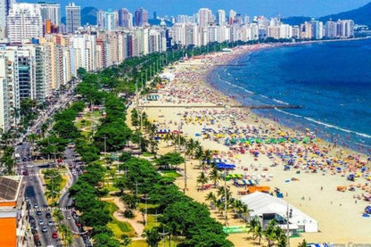 Santos Beach Escape: Private Full-Day Tour from São Paulo with Cultural and Historical Insights