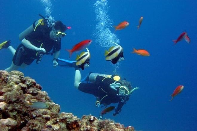 Scuba Diving Adventure from Kusadasi or Selcuk: Explore Underwater Wonders