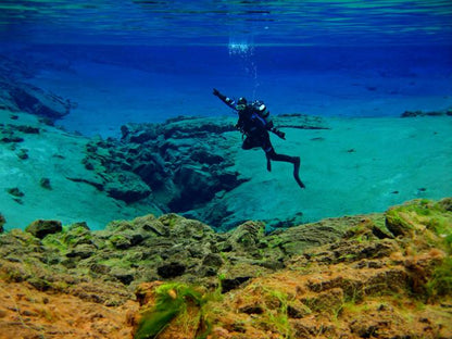 Exclusive Silfra Diving Experience: A Full-Day Private Tour