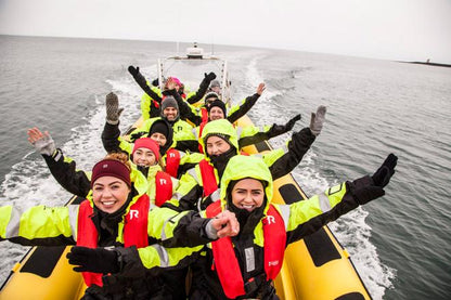 Downtown Reykjavik RIB Speedboat Tour: Whale and Puffin Watching Experience