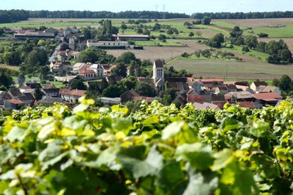 7-Day Exclusive Burgundy Wine Tastings and Riviera Tour: Provence, Nice, & Monaco