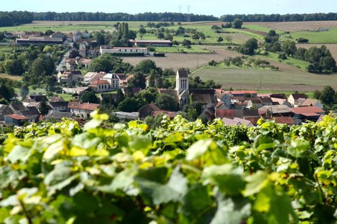 Burgundy and Provence Wine Tasting: 7-Day Small Group Tour Including Nice and Monaco