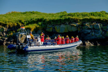 Exclusive Puffin Watching Experience in Reykjavik