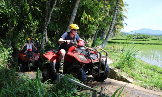 Ultimate Bali Adventure: Full-Day Quad Bike and Heaven Swing Experience