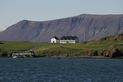 Viðey Island Ferry Adventure: Departing from Old Harbour