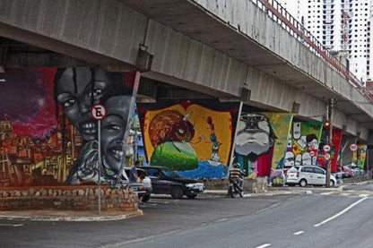 Private Urban Art Exploration: 5-Hour Street Art Tour in São Paulo