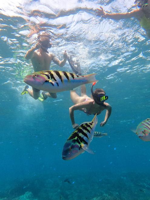 East Nusa Penida All-Inclusive Snorkeling Adventure Tour