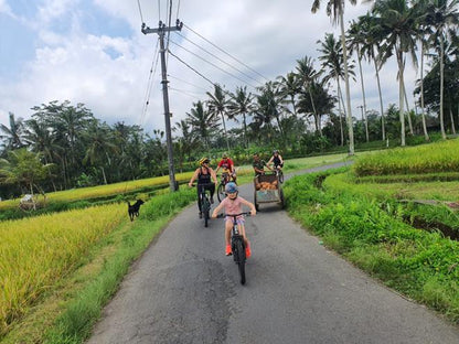 Private Bali Eco Bike Tour: Explore Rural Ubud with Lunch Included