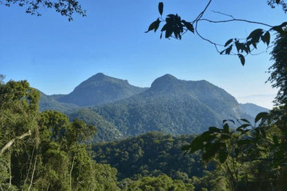 Exclusive Tour of Rio's Hidden Gems: Discover Prainha, Grumari and Other Secluded Beaches