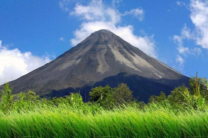 Arenal Hanging Bridges and Tabacon Hot Springs Day Tour from San Jose