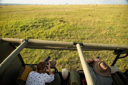 Nairobi and Maasai Mara 4-Day Safari Adventure