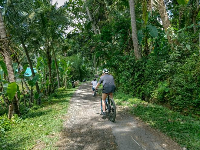 Bali Rural Bike Tour with Hotel Pickup Included