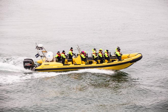 Speedboat Puffin Watching Adventure from Reykjavik Downtown