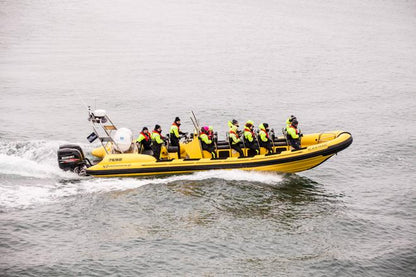 Downtown Reykjavik RIB Speedboat Tour: Whale and Puffin Watching Experience