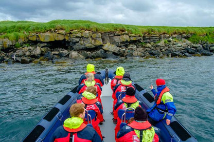 Exclusive Puffin Watching Experience in Reykjavik