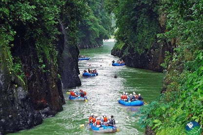 San Jose Adventure: Pacuare River Rafting - Class III-IV Day Trip