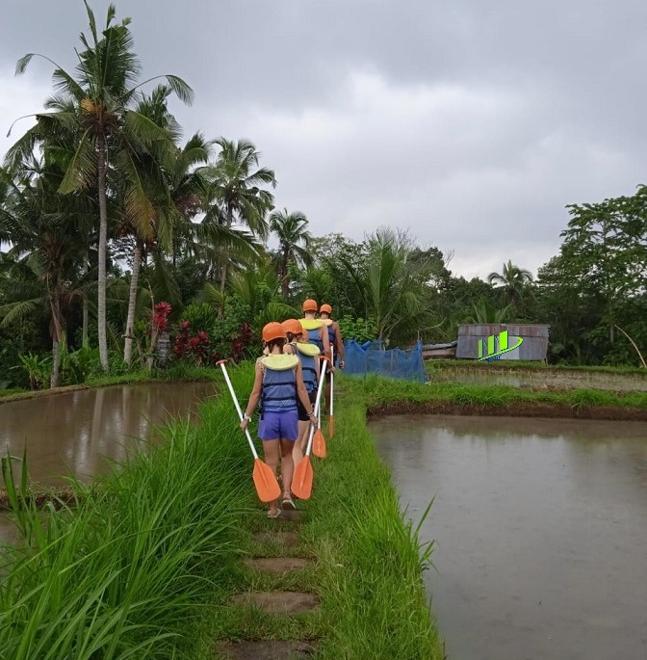 Ayung River Daily White Water Rafting Adventure