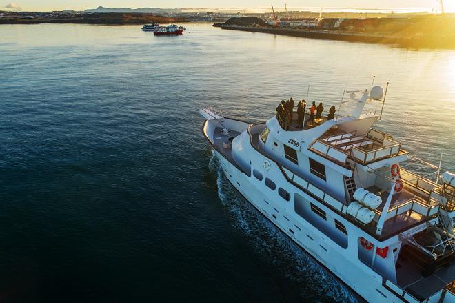 Whale Watching Adventure Cruise Departing from Reykjavik