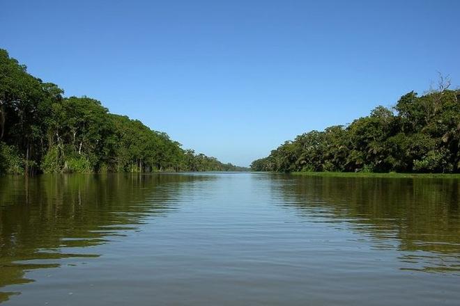 Costa Rica's Caribbean Escape: 5 Days Exploring Tortuguero National Park and Puerto Viejo