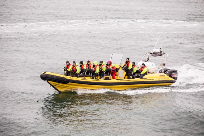 Downtown Reykjavik RIB Speedboat Tour: Whale and Puffin Watching Experience