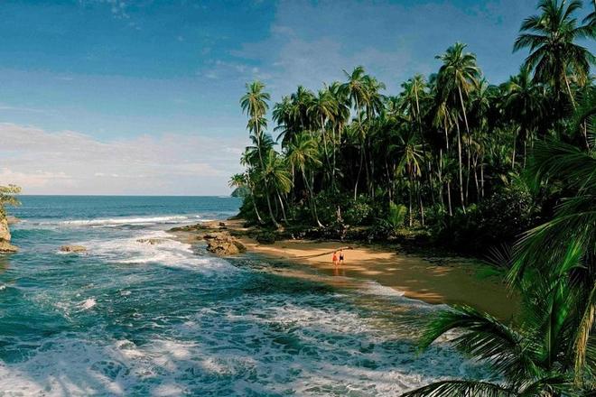 Costa Rica's Caribbean Escape: 5 Days Exploring Tortuguero National Park and Puerto Viejo