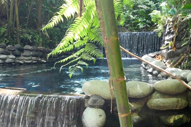 Arenal Hanging Bridges and Tabacon Hot Springs Day Tour from San Jose