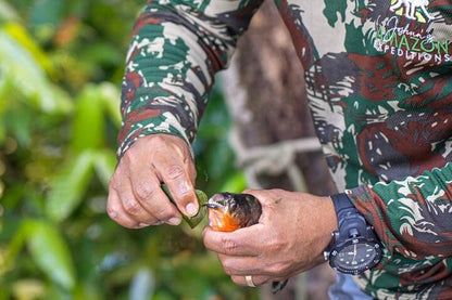 Amazon Rainforest Exploration: 5 Days and 4 Nights Adventure at Amazon Tapiri Floating Lodge