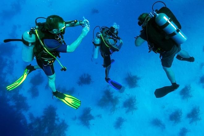 Scuba Diving Adventure from Kusadasi or Selcuk: Explore Underwater Wonders