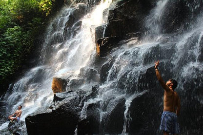 Discover Bali's Stunning Waterfalls: A Full-Day Private Guided Adventure