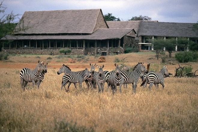 4-Day Safari Adventure: From Diani to Tsavo West, Amboseli, and Tsavo East