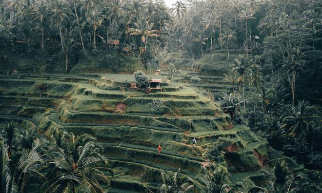 Ultimate Ubud Adventure: Full-Day Private Tour with Giant Swing Experience