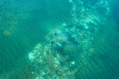 Snorkel in a Hot Spring: Discover the Magic On-Site