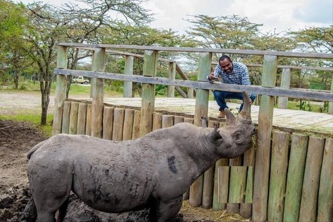 Ol Pejeta Conservancy Full-Day Safari Adventure