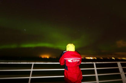 Reykjavik Whale Watching and Northern Lights Adventure