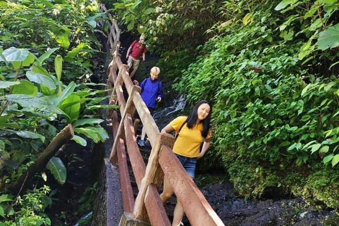 Private Tour to Poas Volcano and La Paz Waterfall Gardens