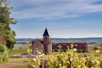 Exclusive Burgundy Wine Tasting Tour: 3 Domaines, Chateau Pommard, Chablis & 15 Varieties - Day Trip from Paris