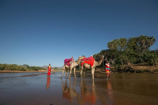 Samburu and Aberdares National Park 4-Day Safari Adventure