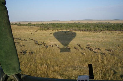 Mara 2-Day Luxury Safari Getaway by Air