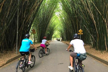 Urban Exploration on Two Wheels: Discover Sao Paulo's Vibrant Cityscapes