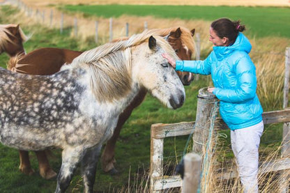 Golden Circle Tour with Icelandic Horse Riding Experience