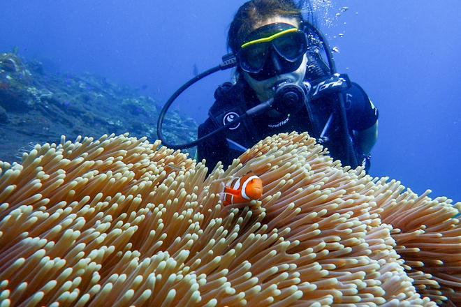 Explore Scuba Diving at the USAT Liberty Shipwreck in Tulamben, Bali