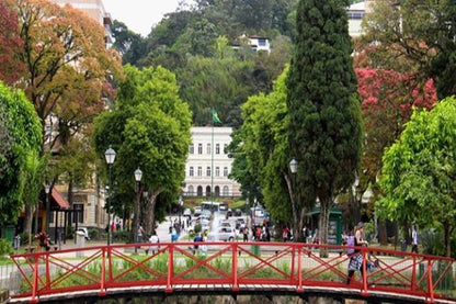 Explore Imperial Petrópolis: Grand Palaces, Architecture, and Culture from Rio