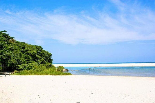 Private Itaguare Beach Tour and Indigenous Tribe Experience from Santos