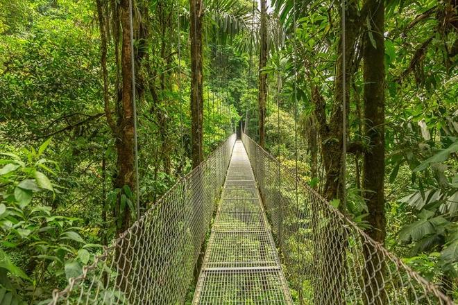 Arenal Volcano Adventure: Private Tour of Hanging Bridges and Baldi Hot Springs from San Jose