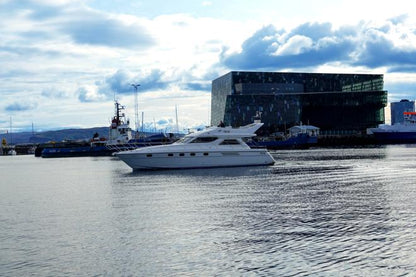 Whale Watching Adventure Cruise Departing from Reykjavik