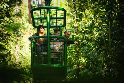 Private Triple Experience Eco Tour: Rainforest Aerial Tram, River Cruise & Nature Walk