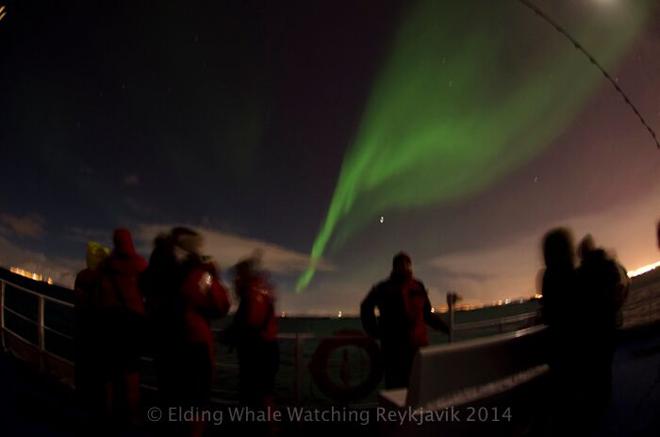 Reykjavik Northern Lights Sailing Experience - No Pickup Included