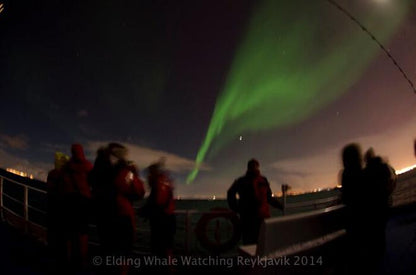 Reykjavik Northern Lights Sailing Experience - No Pickup Included