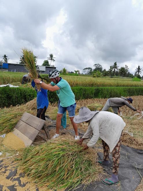 Private Bali Eco Bike Tour: Explore Rural Ubud with Lunch Included