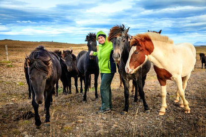 Golden Circle Tour with Icelandic Horse Riding Experience